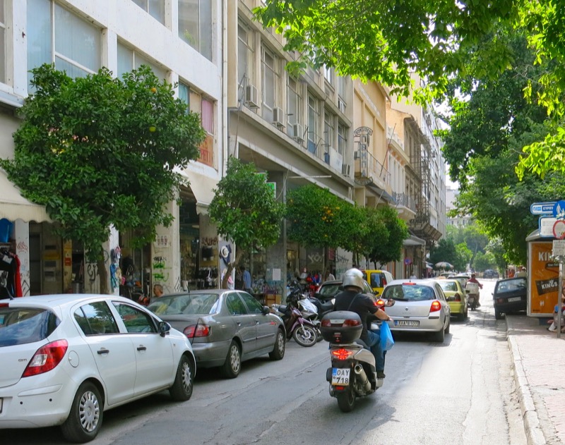 11 Athens Bitter Orange Trees