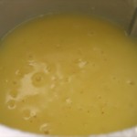 11 Thermomix Lemon Cleaner