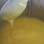 12 Thermomix Lemon Cleaner