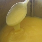 13 Thermomix Lemon Cleaner