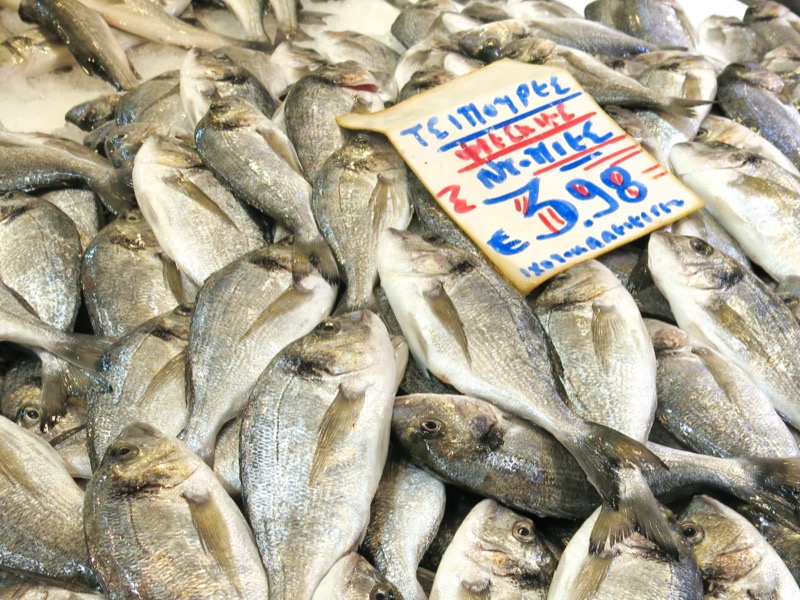 40 Athens Central Fish Market Seabream and SeaBass