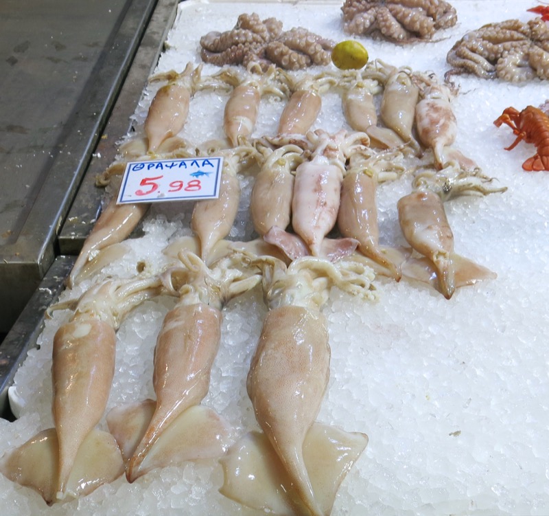 41 Athens Central Fish Market Squid