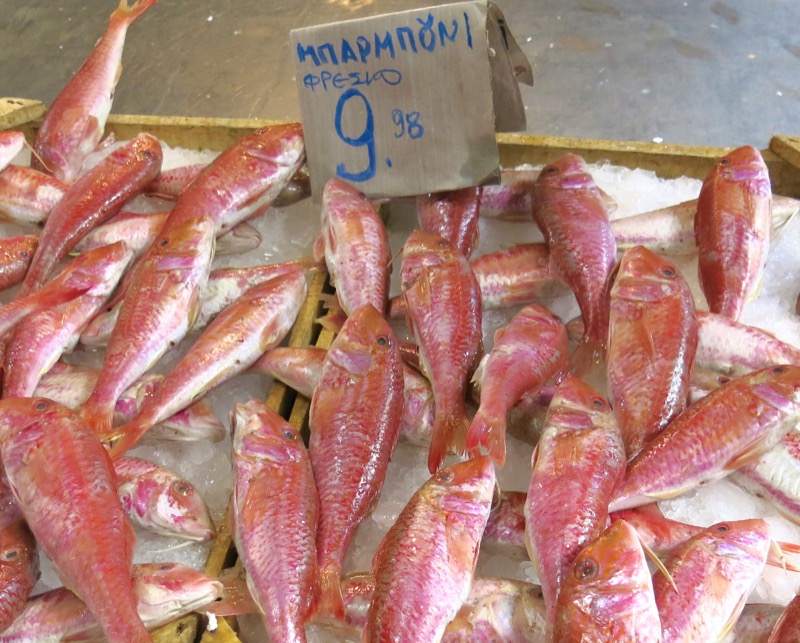 43 Athens Central Fish Market