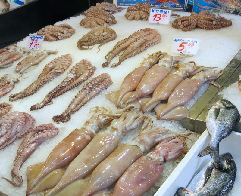 44 Athens Central Fish Market Squid