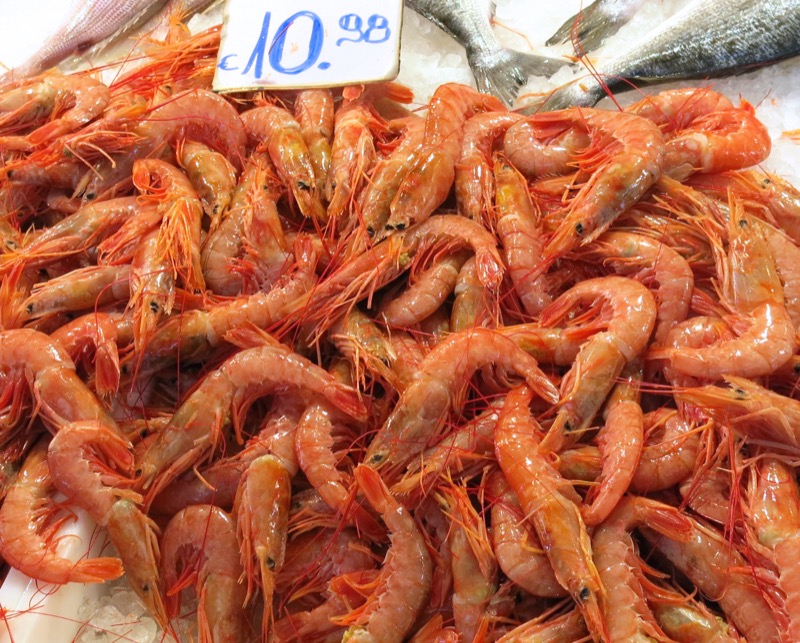 49 Athens Central Fish Market Shrimp