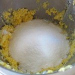 7 Thermomix Lemon Cleaner