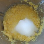 8 Thermomix Lemon Cleaner