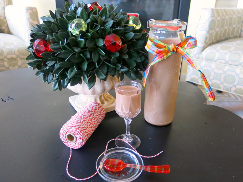 10 Homemade Thermomix Baileys