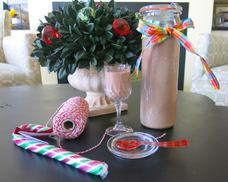 6 Homemade Thermomix Baileys