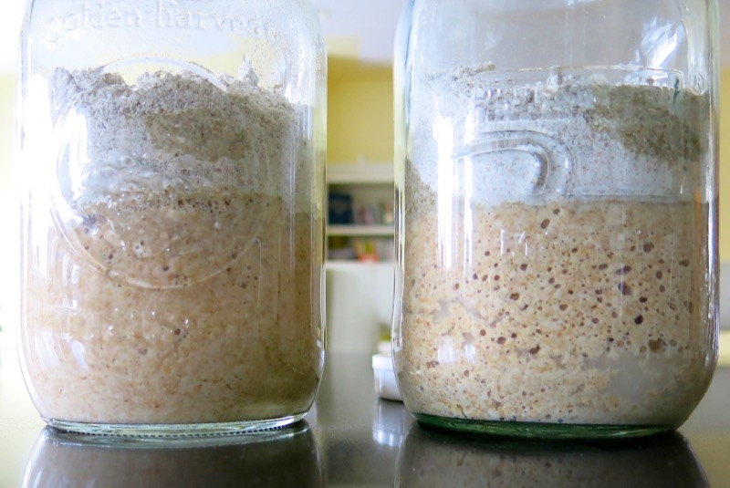 10 Homemade Rye Sourdough Starter