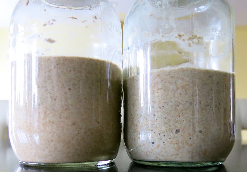 12b Homemade Rye Sourdough Starter