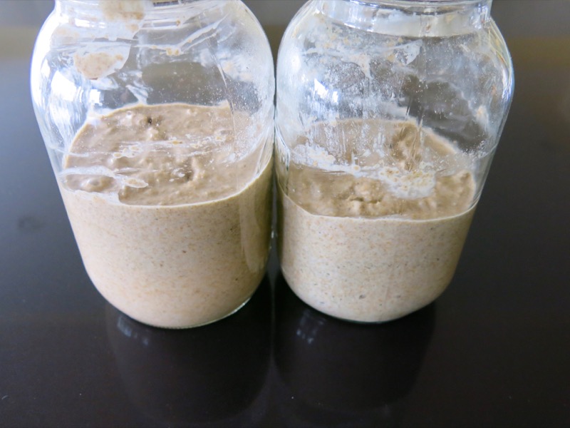 13 Homemade Rye Sourdough Starter