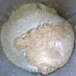 13b Rye Flour and Rye Sourdough Starter