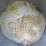 13d Rye Flour Starter, Malt Powder and Fenugreek Powder
