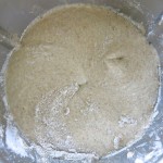 14 Traditional German Brown Bread Dough