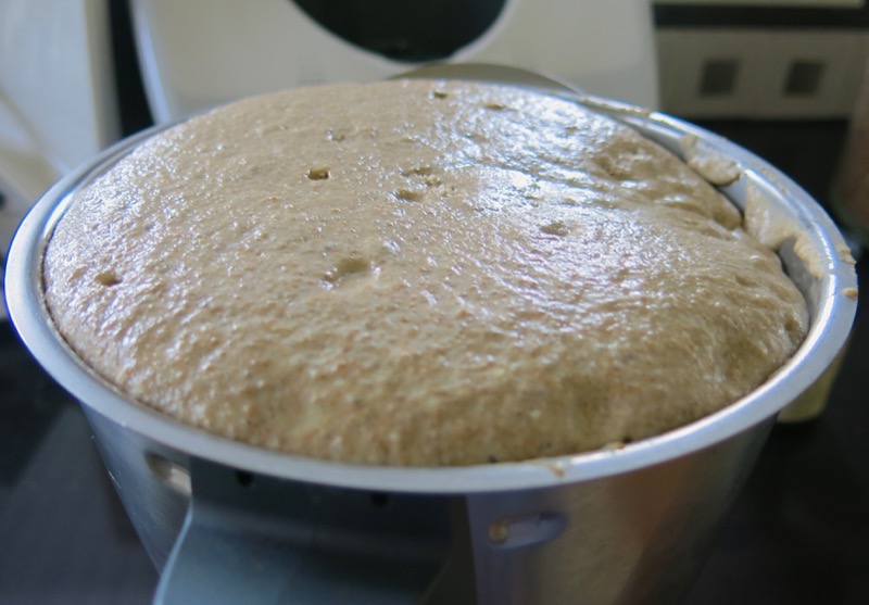 16 Traditional German Brown Bread Dough