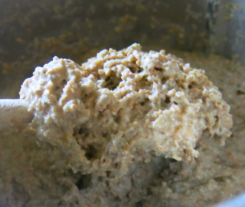 19b Traditional German Brown Bread Dough