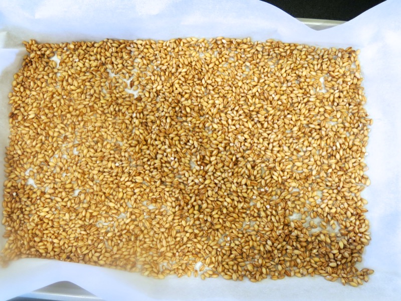 9c Sprouted Hulled Barley for Diastatic Malt Powder