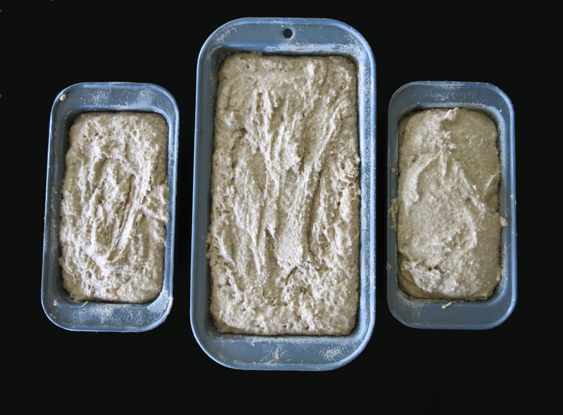 Brown Bread Dough in Pans 800