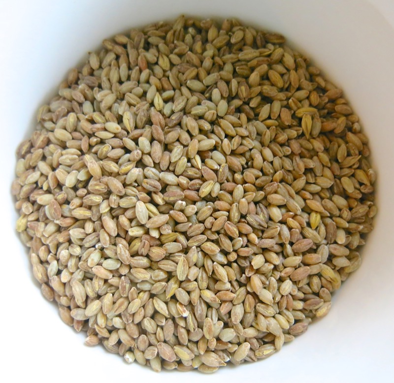 Hulled Organic Barley in Bowl
