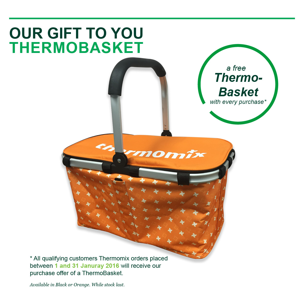 Jan2016_ThermoBasketPromotion