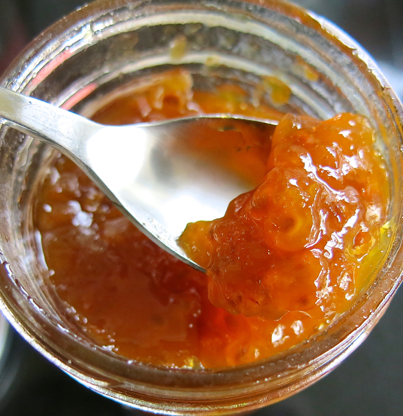 9b Cloudberry or Bakeapple Jam