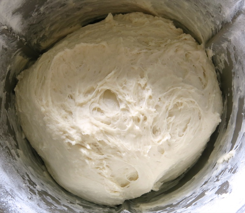 13 Thermomix Kaiser Bun Dough