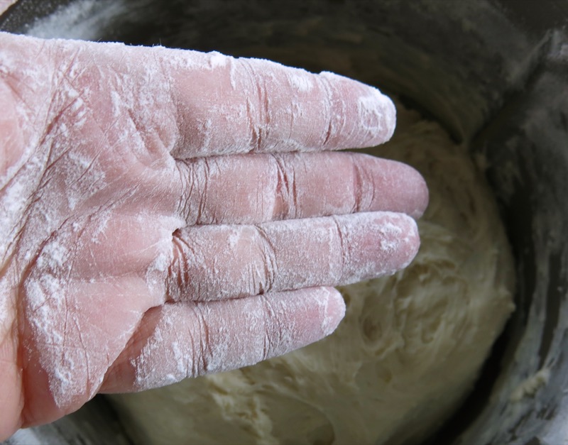 14a Floured Hand