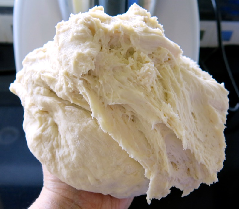 16 Kaiser Bun Dough Thermomix