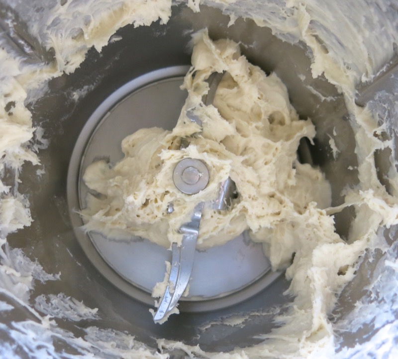 17a Thermomix Bowl and Dough