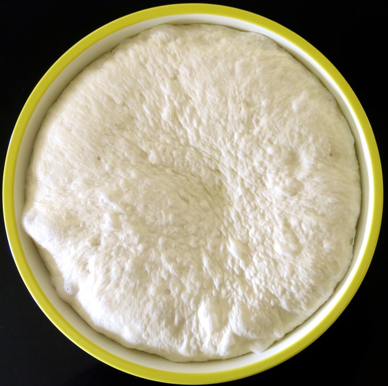 21 Thermomix Kaiser Bun Dough