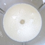 7c Proof Yeast Thermomix