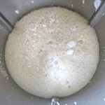 8 Proofed Yeast Thermomix