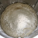 9a Thermomix Kaiser Bun Dough