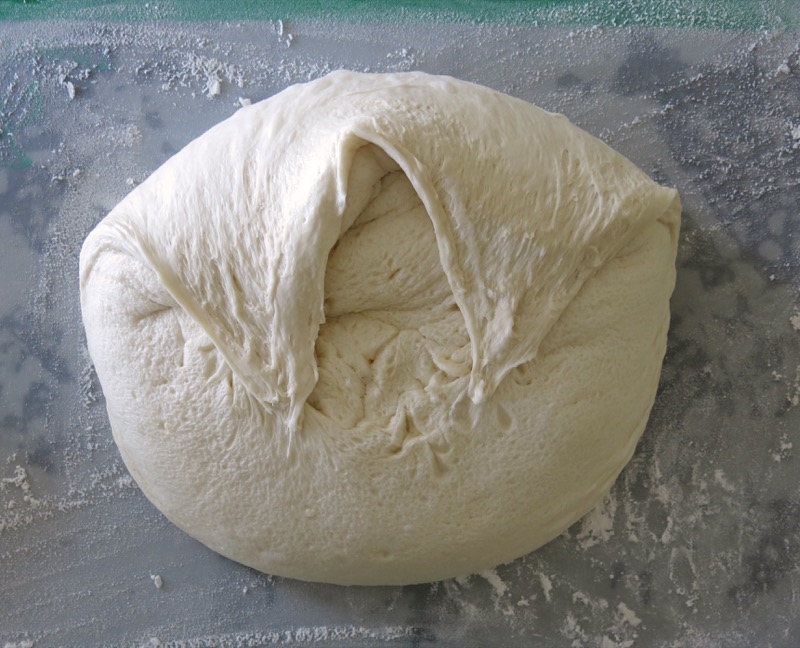 36 Thermomix Prairie Dinner Bun DOugh