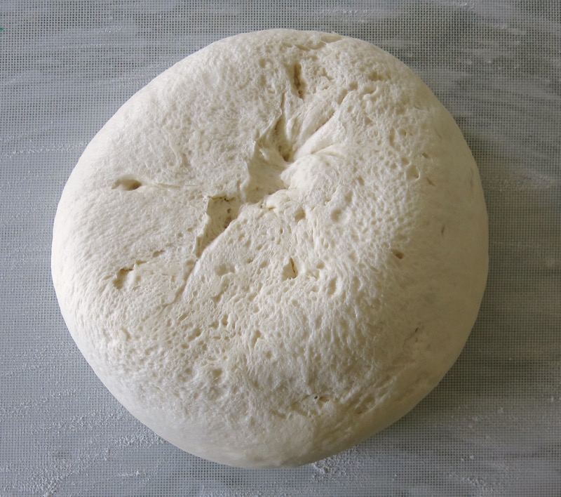 37 Helen McKinney Prairie Dinner Bun Dough