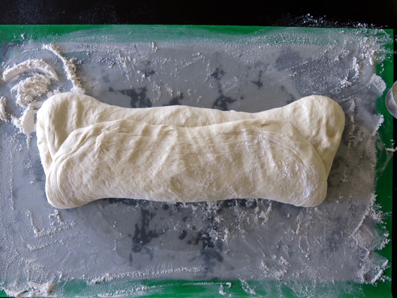 48 Thermomix Prairie Dinner Bun Dough