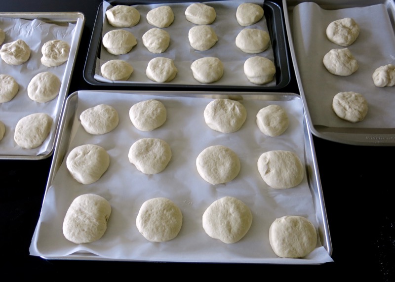 50 Canadian Prairie Dinner Bun Dough