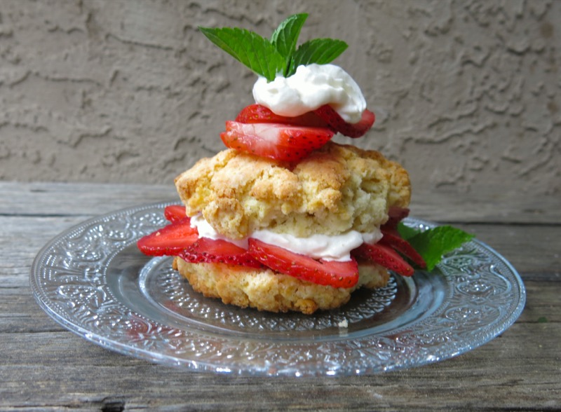 1 Canadian Strawberry Shortcake