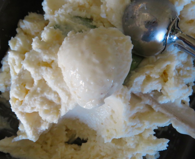 14 Pinacolada Frozen Yogurt