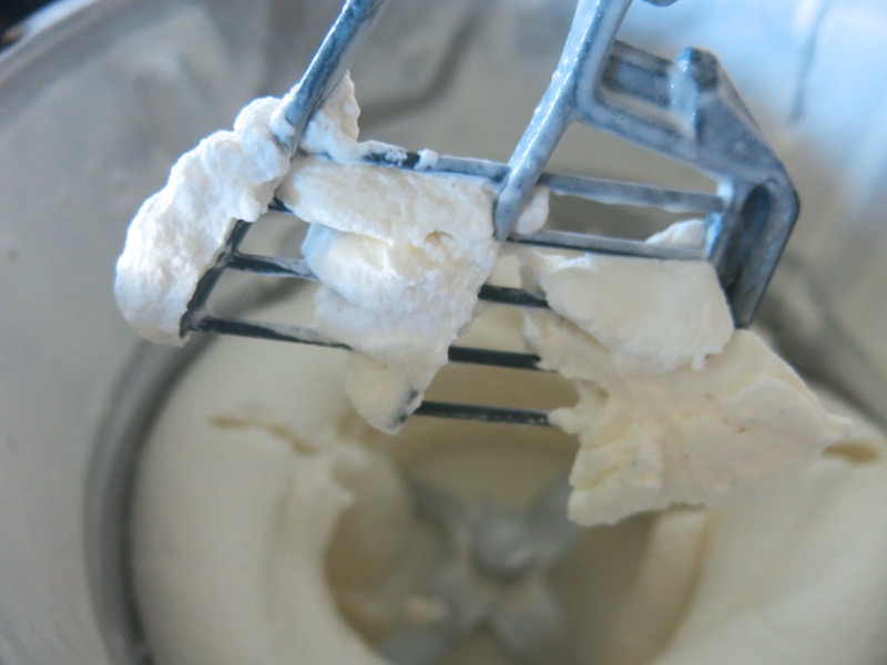 21b Whipped Cream Thermomix