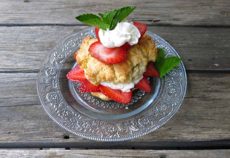 23 Canadian Strawberry Shortcake