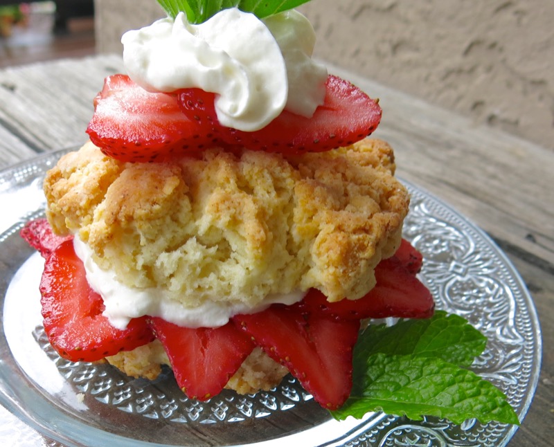 25 Canadian Strawberry Shortcake