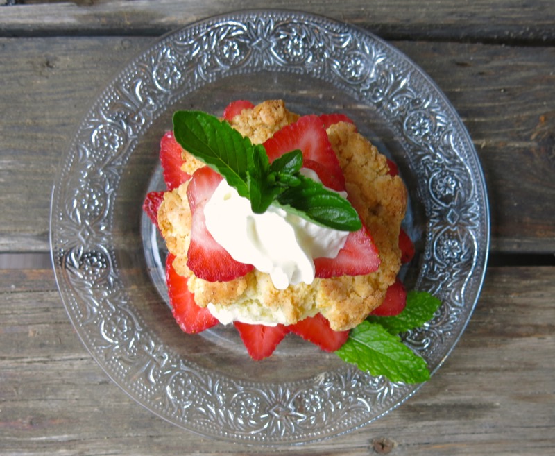 3 Canadian Strawberry Shortcake