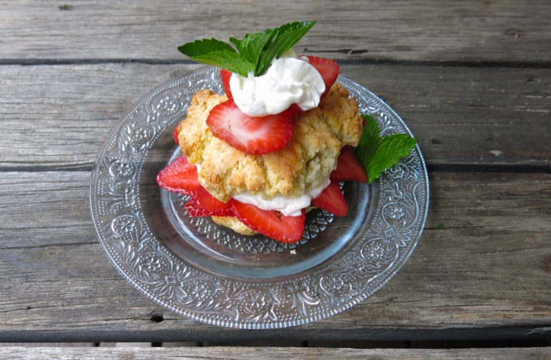 4 Canadian Strawberry Shortcake