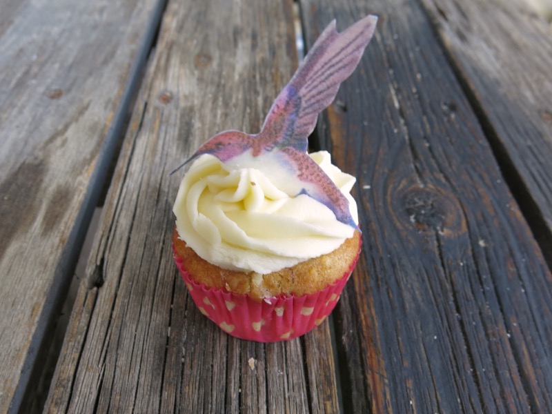 3 Hummingbird Cupcake