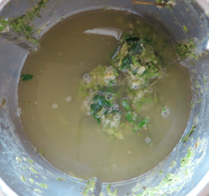 9a Asparagus Soup Concentrate