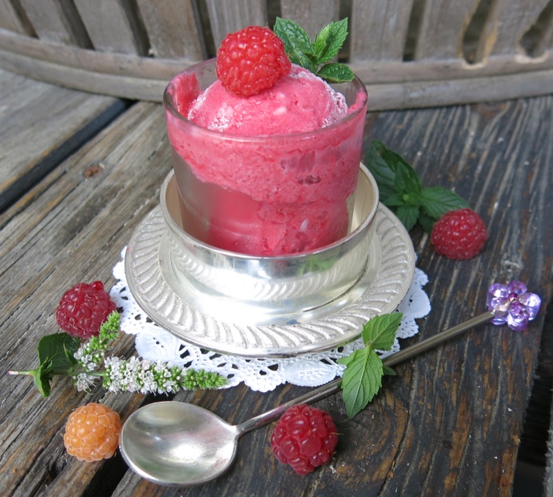 1 Thermomix Seedless Raspberry Ice Cream