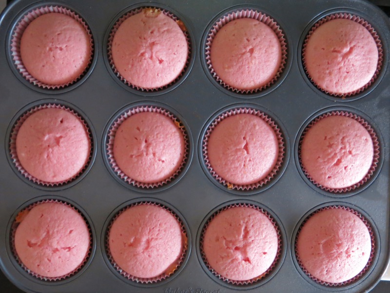 10 Pink Lemonade Cupcake