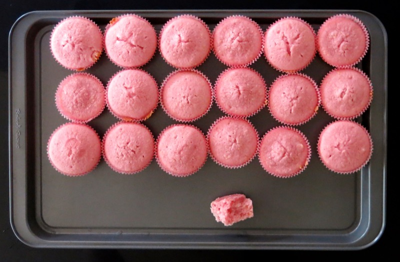11 Pink Lemonade Cupcake